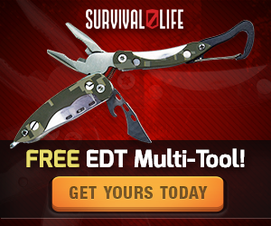 EDT Tool