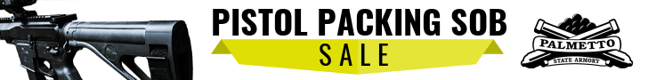 Pistol Brace Sale