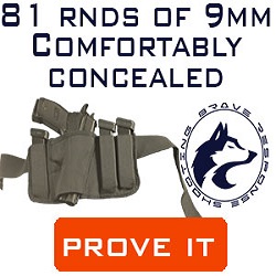 Brave Response Holster